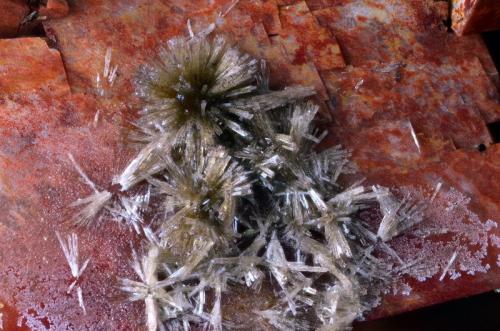 Olivenita (variedad Olivenita cobaltífera)
Concesión La Cena del Depósito, Minas de Cerro Minado, Cuesta Alta, Huércal-Overa, Almería, Andalucía, España.
Campo de visión 3 mm. (Autor: Juan Miguel)