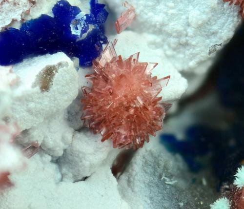 Eritrina
Concesión La Cena del Depósito, Minas de Cerro Minado, Cuesta Alta, Huércal-Overa, Almería, Andalucía, España.
Campo de visión 2,3 mm. (Autor: Juan Miguel)