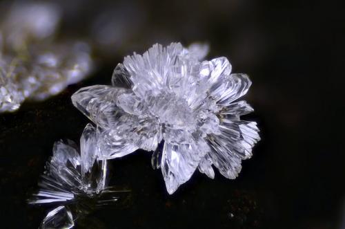 Hemimorfita
Lavrion, Attikí, Grecia
Campo de visión 4 mm. (Autor: Juan Miguel)