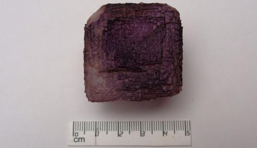 Fluorita
Mina La América 2, Mapimí, Durango, México
4X4X3 cm
Cubo de fluorita morado. (Autor: Luis Edmundo Sánchez Roja)