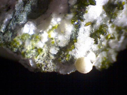 Estilbita y epidota
Valle di Antigorio, Val d’Ossola, Verbano-Cusio-Ossola, Piemonte, Italia
60X
Una esfera de 1 mm. formada por finísimos cristales aciculares de estilbita en una matriz poblada de cristales verdes de epidota. (Autor: prcantos)