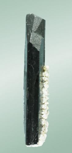 Ferberita
Panasqueira (Aldeia de São Francisco de Assis), Covilhã, Castelo Branco, Cova da Beira, Centro (reg.), Portugal.
8,5x2,3x1,4 cm.
Visión lateral del ejemplar anterior (Autor: Carles Curto)