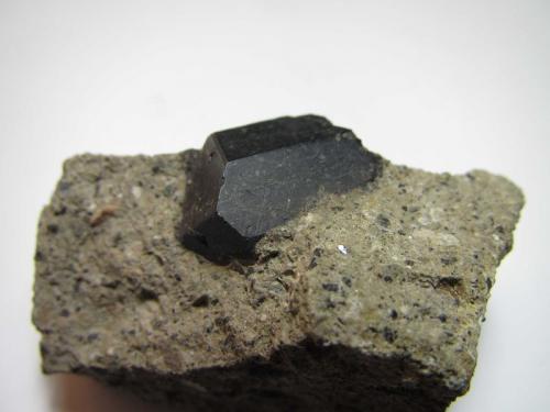 Augita
Ariccia, Colli Albani, Roma, Lazio, Italia
4 x 2 cm.; cristal de 2 x 1’4 cm.
Augita en matriz, probablemente una traquita. (Autor: prcantos)