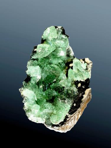 Anapaíta
Kerč, Crimea (península), Rep. Krim (Crimea), Ucrania.
3,4 x 2,2 x 0,8 cm
Agregado de cristales de color verde intenso, con pronunciadas curvaturas en caras y aristas, tapizando el interior de la balva de un molusco fóssil.
Ejemplar figurado en Orbis-Fabri (ed.) 2000-2001. El mundo de los minerales. Fasc.79; en RBA (ed.). 2003. Minerales (fasc. 11) y en RBA (ed.) 2009. Minerales de gran tamaño (ficha Anapaita). (Autor: Carles Curto)