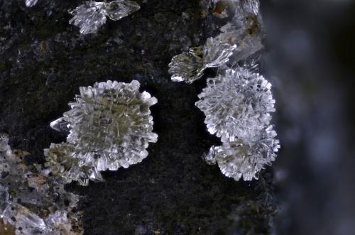 Hemimorfita.
Sainte-Marguerite-Lafigère, Les Vans, Ardèche, Rhône-Alpes, Francia.
Campo de visión 4 mm (Autor: Juan Miguel)