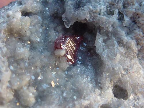 Cinabrio, Dolomita<br />Mina El Entredicho, Almadenejos, Comarca Valle de Alcudia, Ciudad Real, Castilla-La Mancha, España<br />Cristal de unos 2 mm. (formato macro)<br /> (Autor: javier ruiz martin)