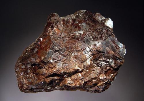 Siderite
Roxbury iron Mine, Roxbury, Litchfield Co., Connecticut, USA
9.0 x 11.0 cm
Chocolate-brown, crystalline siderite with a slightly irridescent surface and minor quartz. (Author: crosstimber)