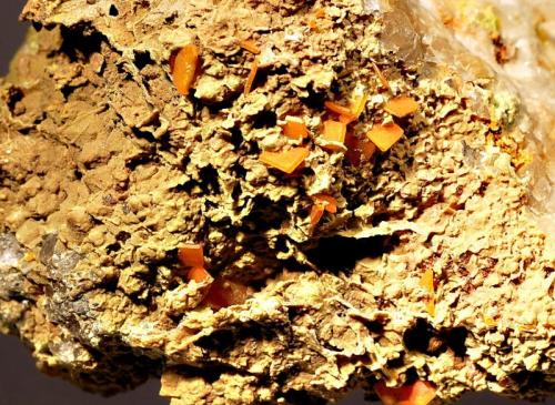 Wulfenite
Manhan Lead Mine, Loudville, Hampshire Co., Massachusetts, USA
5.0 x 5.5 cm
Tabular orange wulfenite crystals to 3 mm on quartz matrix. (Author: crosstimber)