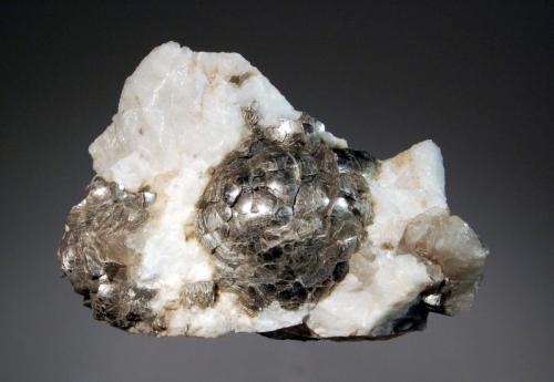 Muscovite
Branchville Quarry, Branchville, Fairfield Co., Connecticut, USA
5.0 x 7.1 cm
Lamellar, rounded muscovite in a quartz and albite matrix. This form of muscovite is sometimes known as "ball peen mica" for obvious reasons. (Author: crosstimber)