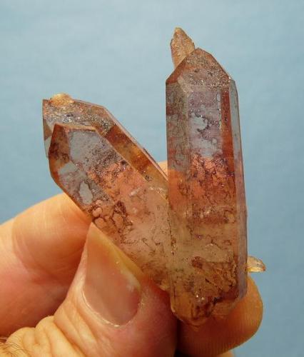 Quartz with hematite
Pella, Orange river, Northern Cape, SA
42 x 29 x 18 mm (Author: Pierre Joubert)