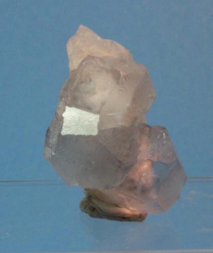Fluorite, Quartz
Yaogangxian Mine, Hunan, China
5 x 3.4 cm (Author: Don Lum)