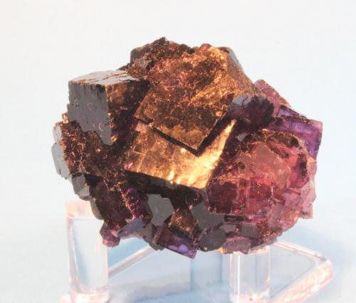 Fluorite
Esperanza Mine near Melchor Muzquiz, Coahuila, Mexico
6.0 x 5.5 cm (Author: Don Lum)