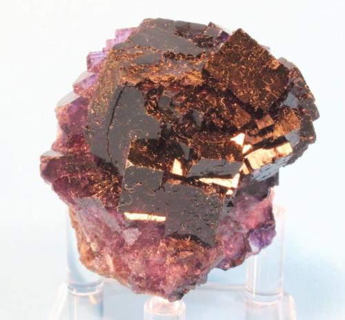 Fluorite
Esperanza Mine near Melchor Muzquiz, Coahuila, Mexico
6.0 x 5.5 cm (Author: Don Lum)