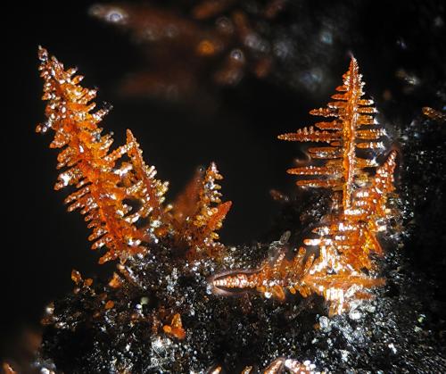 Oxyplumboroméita
Letmathe, Iserlohn, Sauerland, North Rhine-Westphalia, Alemania
fov 2.2 mm (Autor: Rewitzer Christian)