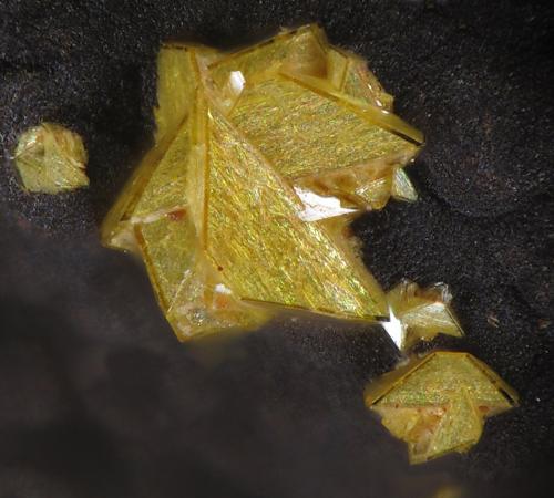 Beudantita
Tharsis, Alosno, Huelva, Andalucía, España
fov 1 mm
encontrada en 2011 (Autor: Rewitzer Christian)