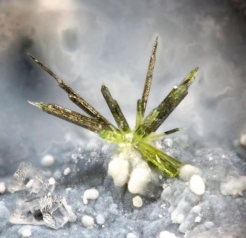 Jamborita/Millerita
Mina La Gallega, Ojén, Málaga, Andalucía, España
fov 1.2 mm
encontrada en 2013 (Autor: Rewitzer Christian)