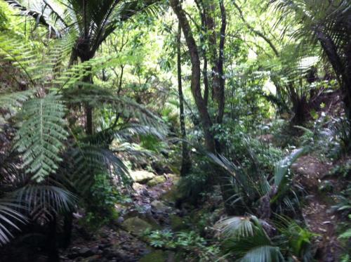 Tinkers Gully. (Author: Greg Lilly)