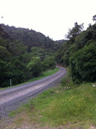 Road along side Tararu River. (Author: Greg Lilly)