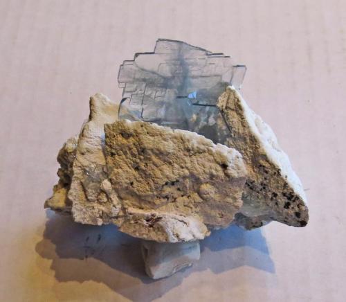 Barite
Milpillas Mine, Cuitaca, Santa Cruz, Sonora Mexico
10 b 7 cm.  barite is 5 cm
Pale blue barite on clay coated breccia matrix

Peter Megaw specimen and photograph...  Thanks Jesus! (Author: Peter Megaw)