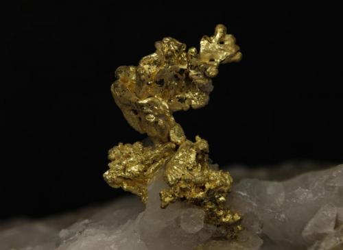 Gold
Eagle’s Nest. Michigan Bluff. Placer Co. California. USA
FOV 18,83mm
1x. Focus rail MacroRail. Canon EOS 600D. Ikea lights
Photo: Oscar Fernández Arcís Mineral: Manuel de Torres (Author: ofarcis)