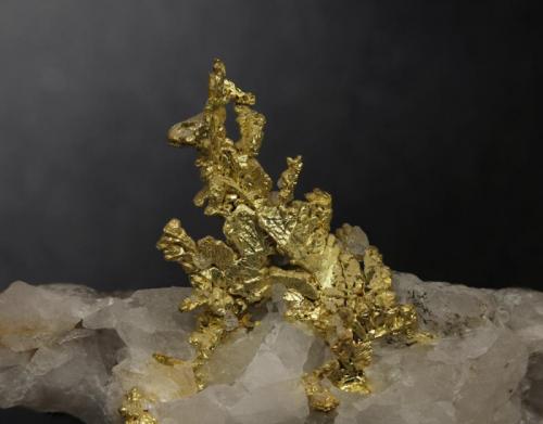 Gold
Eagle’s Nest. Michigan Bluff. Placer Co. California. USA
FOV 27,6mm
0,66x. Focus rail MacroRail. Canon EOS 600D. Ikea lights
Photo: Oscar Fernández Arcís Mineral: Manuel de Torres (Author: ofarcis)