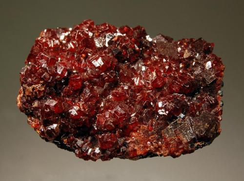 Andradite
N’Chwaning II Mine, Kuruman, N. Cape Prov., South Africa
4.2 x 5.6 cm
A flat plate of dark red andradite crystals to 0.8 cm covering a mixture of massive andradite with embedded metallic black hematite crystals to 2 mm. (Author: crosstimber)