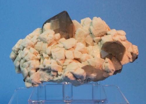 Quartz (var Smoky), Microcline
Papachacra Pegmatite, Catamarca Province, Argentina
11.3 x  6.3 cm (Author: Don Lum)