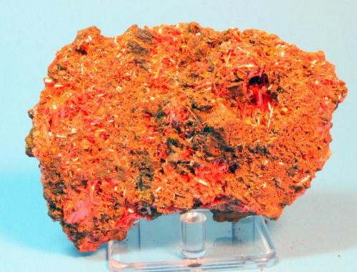 Crocoite
Adelaide Mine, Dundas, Tasmania, Australia
9.7 x 6.5 cm (Author: Don Lum)