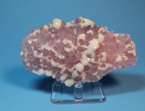 Amethyst, Calcite
Guanajuato City, Guanajuato State, Mexico
11 x 6.3 cm (Author: Don Lum)