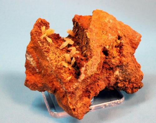 Legrandite
Ojuela Mine, Mapimi, Mun. de Mapimi, Durango, Mexico
8 x 5 cm (Author: Don Lum)