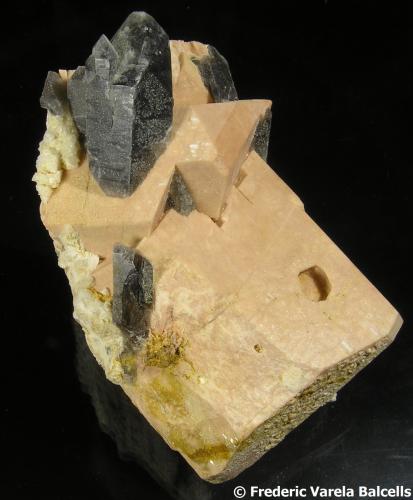 Cuarzo (variedad ahumado), Microclina, Albita<br />Pedrera Mas Sever, Massabè (Mas Ceber), Sils, Comarca La Selva, Gerona / Girona, Cataluña / Catalunya, España<br />8 x 4,5 x 4 cm. Cristal mayor de cuarzo 3 x 1,5 cm.<br /> (Autor: Frederic Varela)