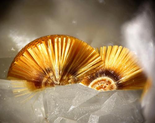 Cacoxenita
Mina La Paloma, Zarza la Mayor, Cáceres, Extremadura, España
fov 1.6 mm
encontrada en 2013 (Autor: Rewitzer Christian)