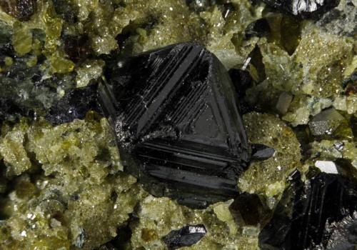 Magnetite, Vesuvianite, Grossular and Clinochlore
Haramosh. Gilgit. Pakistan
FOV 17,74mm
1,18x. Focus rail MacroRail. Canon EOS 600D. Ikea lights
Photo: Oscar Fernández Arcís, Mineral: Manuel de Torres (Author: ofarcis)