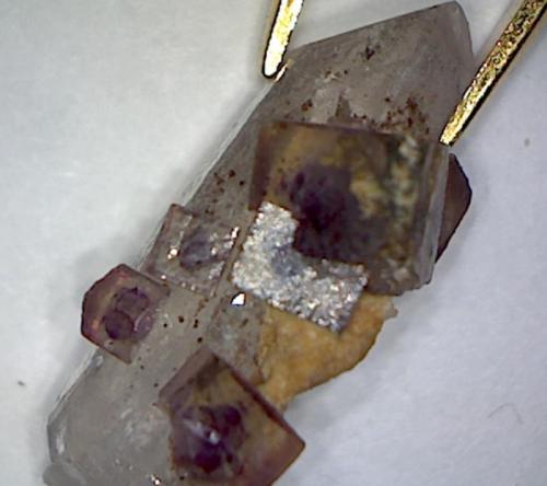 Fluorite, Quartz
Orange River Area, Northern Cape Province, South Africa
23 x 10 x 8 mm (Author: Don Lum)