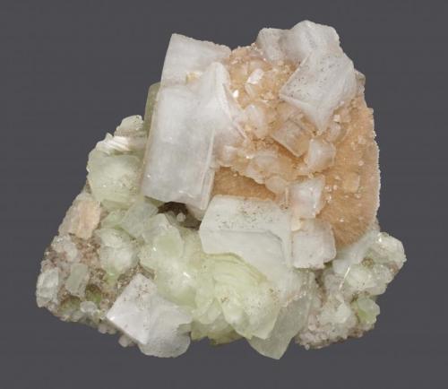 Apophyllite, datolite & pectolite
Francisco Brothers Quarry, Great Notch, Little Falls, Passaic County, New Jersey, USA
13.2 x 9.9 cm
Apophyllite crystals to 3.4 cm with datolite on pectolite; previously in the American Museum of Natural History, and pictured on page 37 of Trap Rock Minerals of New Jersey. (Author: Frank Imbriacco)