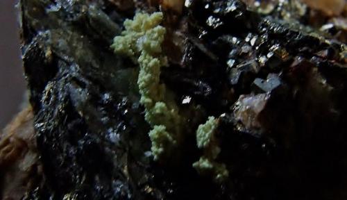 Marcasite/Pyrite in Dolomite
Frizington Parks Mine, Frizington, Cumbria, England, UK.
FOV 15 x 10 approx (Author: nurbo)