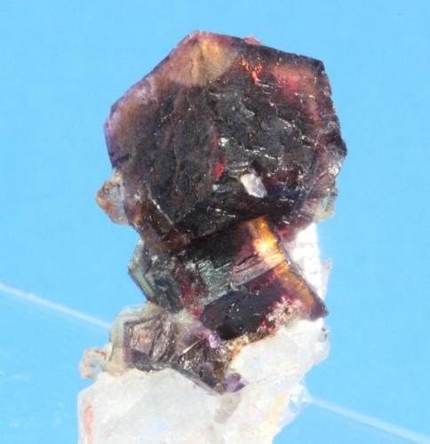 Fluorite, Quartz
Orange River Area, Northern Cape Province, South Africa
37 x 25 mm (Author: Don Lum)