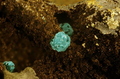 Reichenbachita, Pseudomalaquita y Goethita
Mina El Novillero. Cheles. Badajoz. España
Encuadre 5,23mm
4,16x. Carril de enfoque MacroRail. Canon EOS 600D. Luces Ikea 
Fotografía y Mineral: Oscar Fernández Arcís (Autor: Oscar Fernandez)