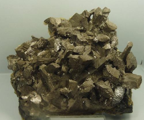 Arsenopirita.
Panasqueira, Covilhã, Distrito Castelo Branco, Portugal
110x90 mm (Autor: Jesus Franquesa Baucells)