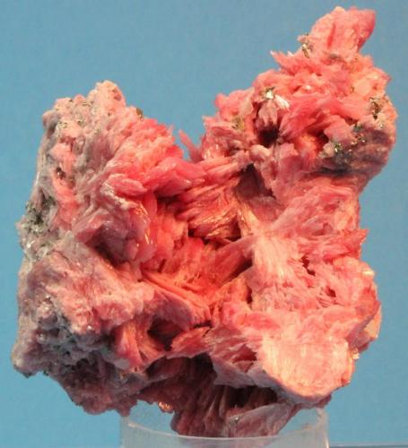 Rhodonite
Mina San Martin, Ancash, Peru
6.7 x 5.5 cm (Author: Don Lum)