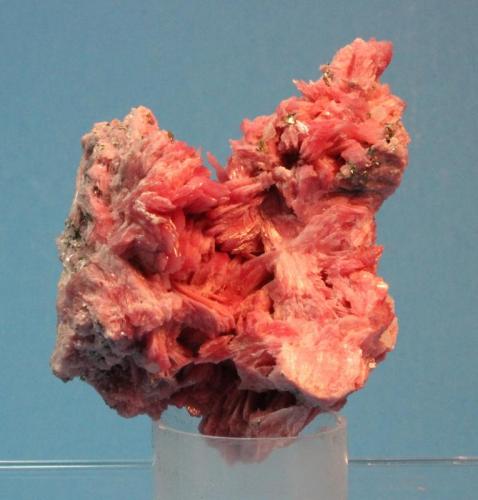 Rhodonite
Mina San Martin, Ancash, Peru
6.7 x 5.5 cm (Author: Don Lum)