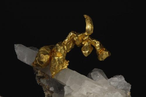 Oro
San Luis. Prov. de Lucanas. Dep. de Ayacucho. Perú
Encuadre 11,78mm
1,9x. Carril de enfoque MacroRail. Canon EOS 600D. Luces Ikea 
Fotografía: Oscar Fernández Arcís, Mineral: Manuel de Torres (Autor: Oscar Fernandez)