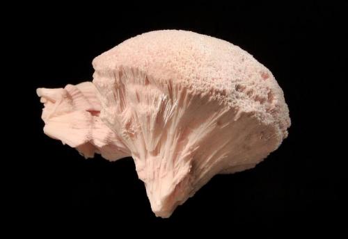 Kutnohorite
N’Chwaning II Mine, Kuruman, N. Cape Province, South Africa
4.0 x 6.0 cm
Pale pink mushroom-shaped aggregate of fibrous kutnohorite crystals. (Author: crosstimber)