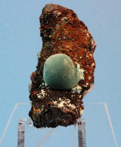 Rosasite
Ojuela Mine, Mapimi, Mun. de Mapimi, Durango, Mexico
6 x 2.7 cm (Author: Don Lum)