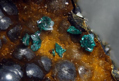 Pseudomalachite & Goethite
El Novillero. Cheles. Badajoz. Extremadura. Spain
FOV 4,08mm
5x. Focus rail MacroRail. Canon EOS 600D. Ikea lights 
Photo: Oscar Fernández Arcís, Mineral: Manuel de Torres (Author: ofarcis)