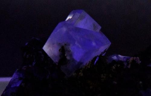 Fluorite on Oxidized Siderite.
West End Hushes, Pike Law, Teesdale, Co Durham, England, UK.
Fluorite to 5 mm under LWUV (Author: nurbo)