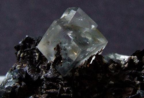 Fluorite on Oxidized Siderite.
West End Hushes, Pike Law, Teesdale, Co Durham, England, UK.
Fluorite to 5 mm (Author: nurbo)