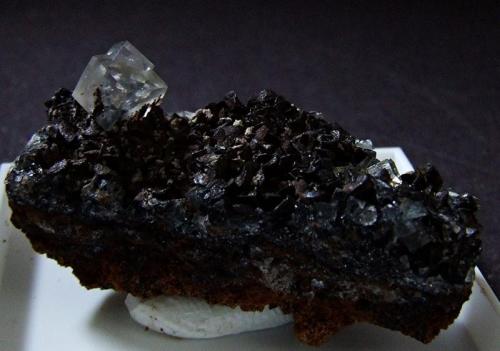 Fluorite on Oxidized Siderite.
West End Hushes, Pike Law, Teesdale, Co Durham, England, UK.
35 x 12 mm (Author: nurbo)