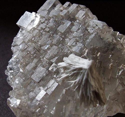 Celestite on Fluorite
Hammam Zriba Mine, Zaghouan, Tunisia.
58 x 50 mm (Author: nurbo)