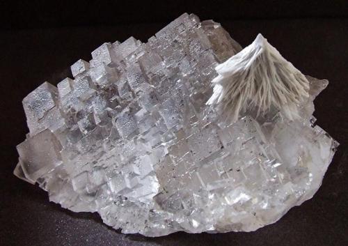 Celestite on Fluorite
Hammam Zriba Mine, Zaghouan, Tunisia.
58 x 50 mm (Author: nurbo)